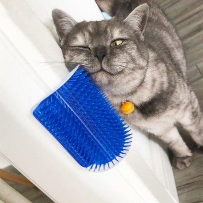 Catit - Self groomer med kattmynta