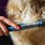 Elektrisk kam och tovskärare för pälsen på din hund eller ditt husdjur