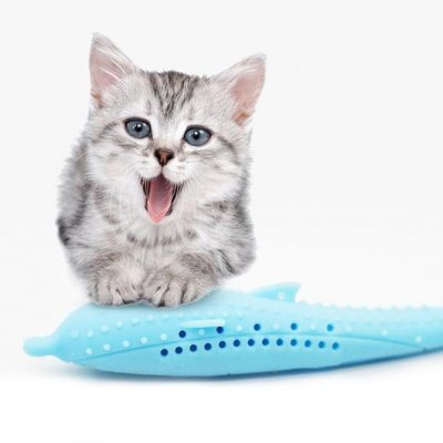 Fiskformad tandvård för katter
